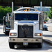 Canada 2016 – The Canadian – Winnipeg – Freightliner truck
