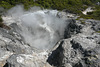 Volcanic Pit At Whakarewarewa