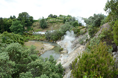 Azores, Island of San Miguel, The Valley of Furnas with Geysers and Fumaroles