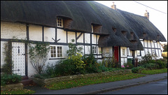 Tudor thatch