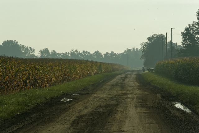 Corn and Saginaw Highway