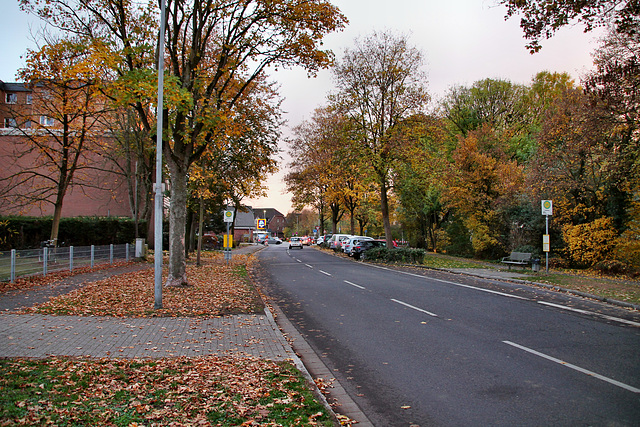 Springenweg (Neukirchen-Vluyn) / 9.11.2018