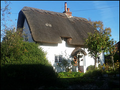thatched cottage with butterfly