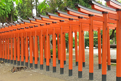 Torii d'un sanctuaire shinto, Jardin Suizenji Jôju-en, Kumamoto (Kyûshû, Japon)