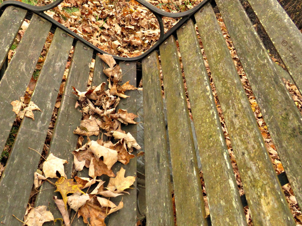 .. fall bench