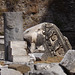 Cornice Fragment in the Forum of Julius Caesar in Rome, July 2012