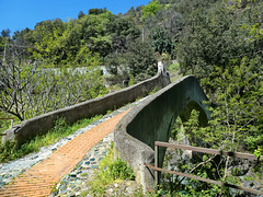 Ponte Napoleonico del 700 con la "crouza" - HFF