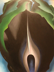 Jack-in-the-Pulpit IV
