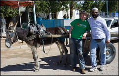Posing with patient donkey