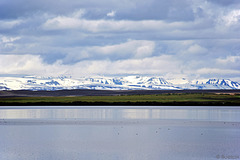 Blick über den Mývatn (© Buelipix)