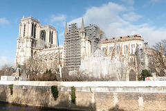 Cathédrale Notre-Dame de Paris 1