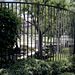 Memorial Garden Fence