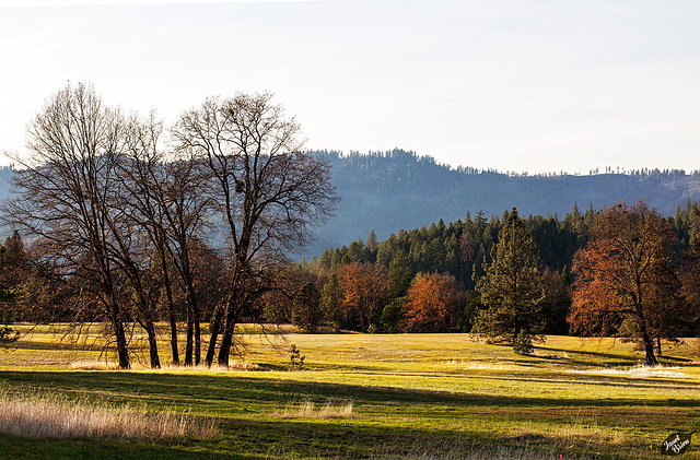 Joseph Stewart State Park, Set 2: Beauty Near and Far! (+10 insets!)