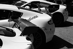 Le Mans 24 Hours Race June 2015 20 X-T1 mono