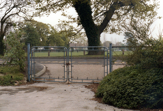 Stockheath School (21) - 15 May 1985