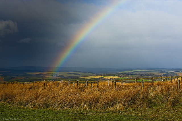 Border Rainbow (HFF Everyone)