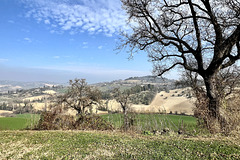 Fano 2024 – View of the hills