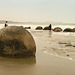 Moeraki boulders in the sea