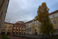 Universität Vilnius