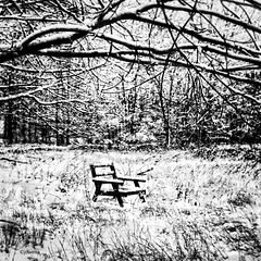 chair in the meadow