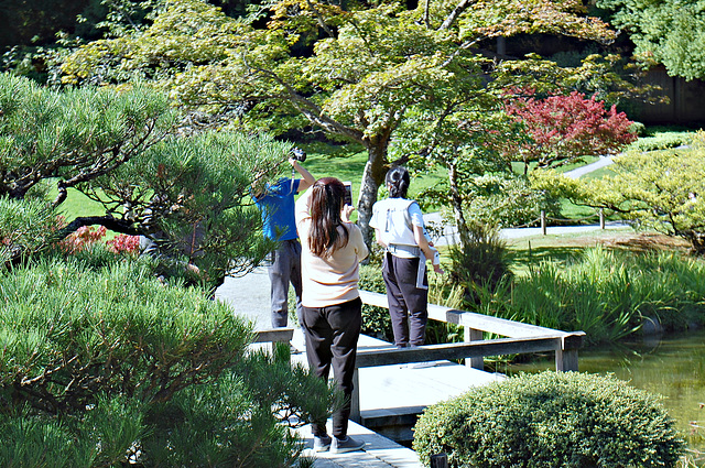 Japanese Garden ~ Photographers all ....