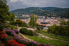 Aussicht auf Heidelberg