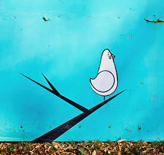 Street Art...........Bird on Blue