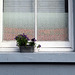 IMG 9158-001-Business Centre Window Sill