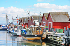 Boltenhagen, Fischereihafen