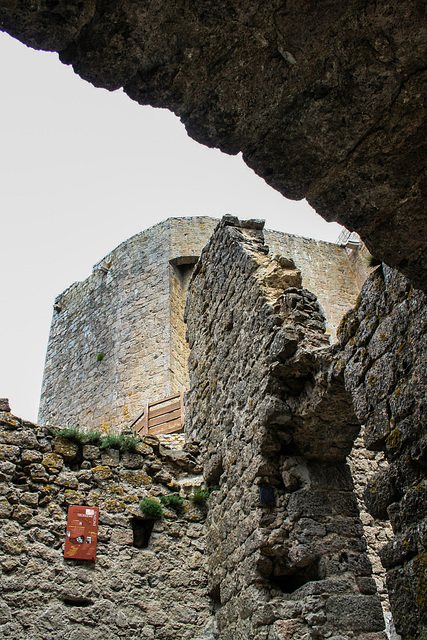 Châteaux Cathares: Quéribus
