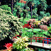 Japanischer Garten, Powerscourt Gardens, Wiklow, Irland, HFF