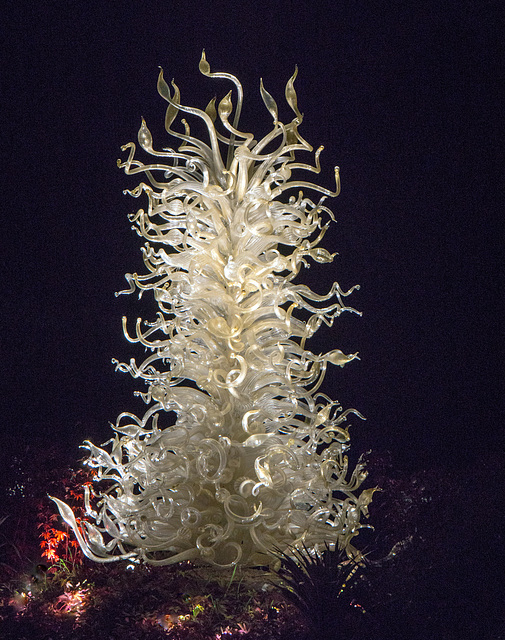 Tree of glass illuminated