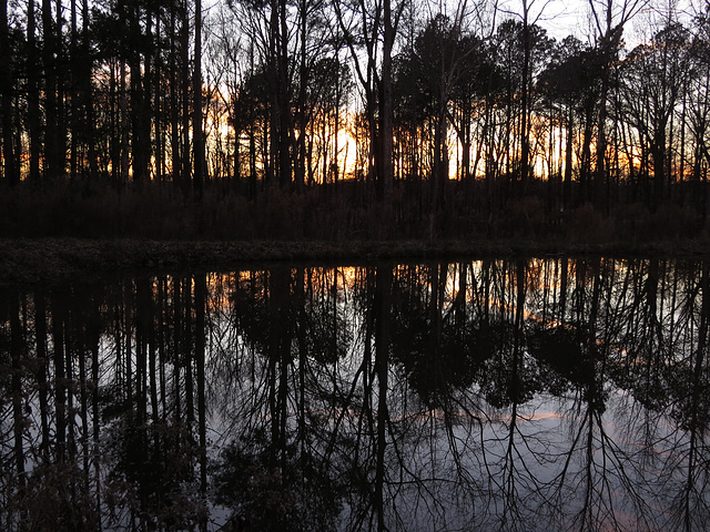 Calm evening over the pond