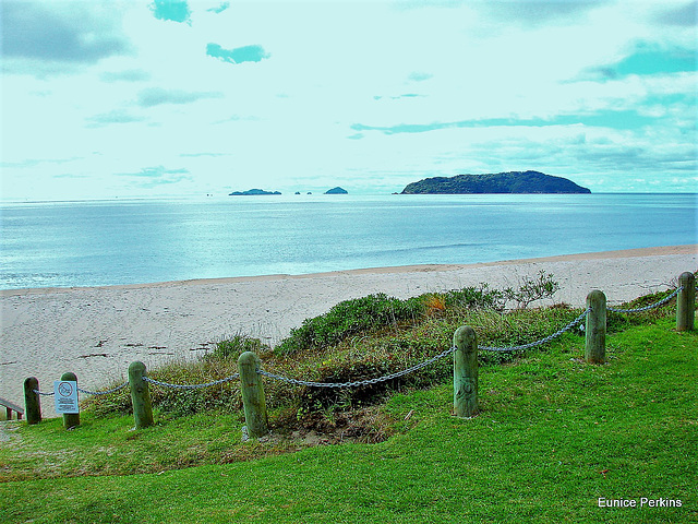 Overlooking Tairua Beach