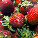 Strawberries Macro 052615