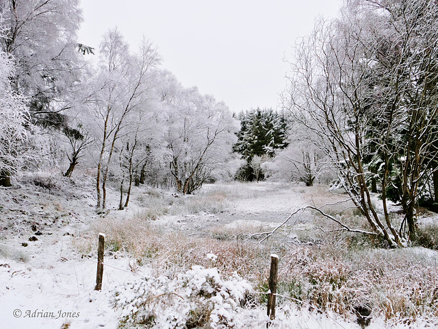 Snow at The Bog, Shropshire