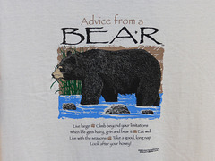 Advice from a Bear