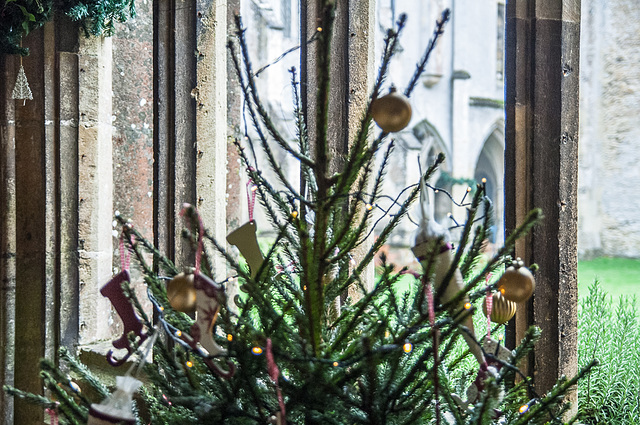 A Christmas Tree in the Cloisters