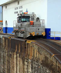 Panama Canal Mule