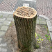 Dordrecht 2018 – Protest about a cut tree