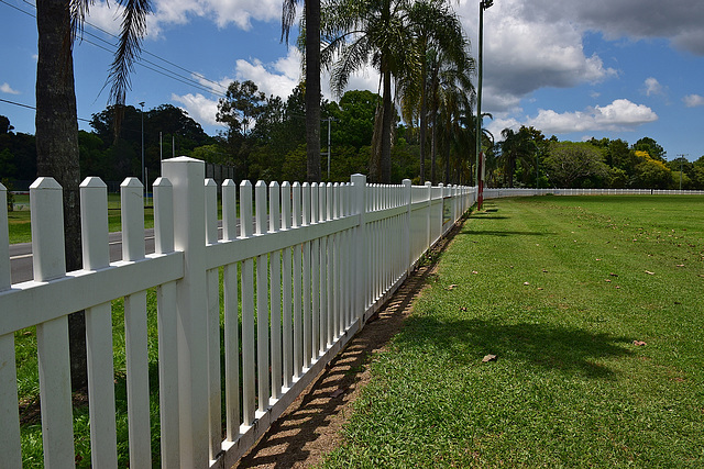 Cricket ground fence