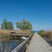 Amphibien-Schutzgebiet am Bodensee bei Kreuzlingen (© Buelipix)