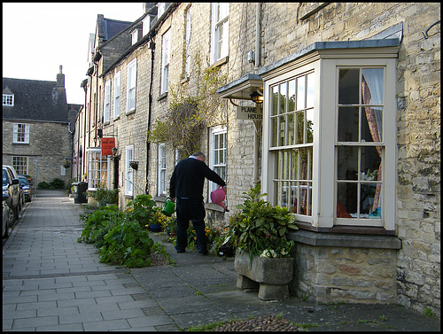 pavement gardening