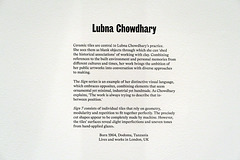 IMG 9622-001-Lubna Chowdhary
