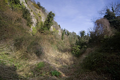 Whitlands Cliff, East Devon