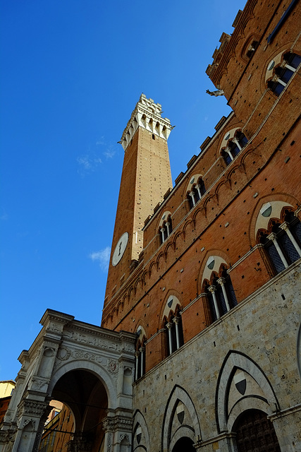 Tuscany 2015 Siena 6 Torre del Mangia XPro1