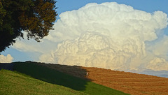 wolkenfelder