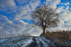 Fränkische Winterlandschaft - Winter in Franconia