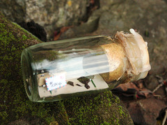 Message in a Bottle No. 96