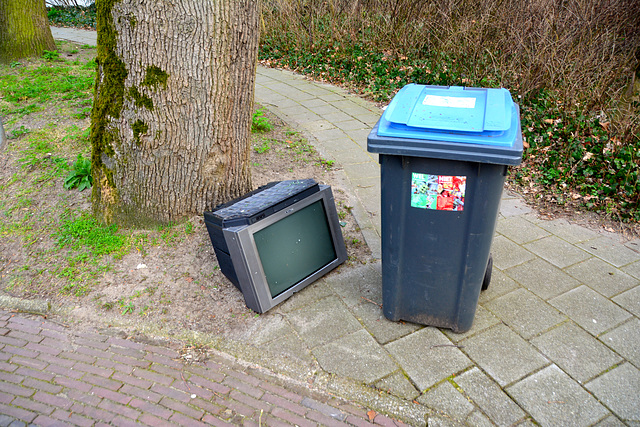 Outside television and wheely bin